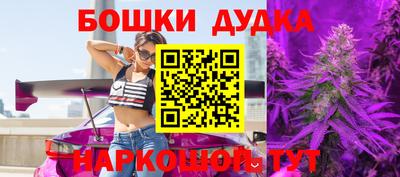 крисы Малгобек