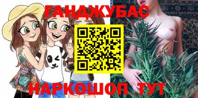 крисы Малгобек