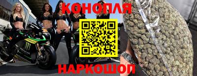 крисы Малгобек
