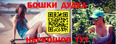крисы Малгобек